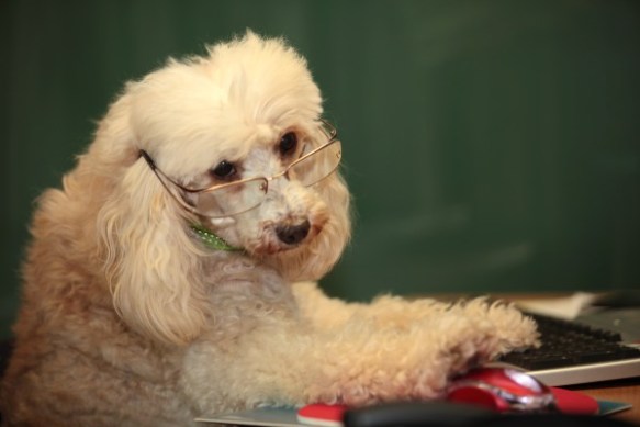 sofia_unterstuetzt_die_turnierleitung